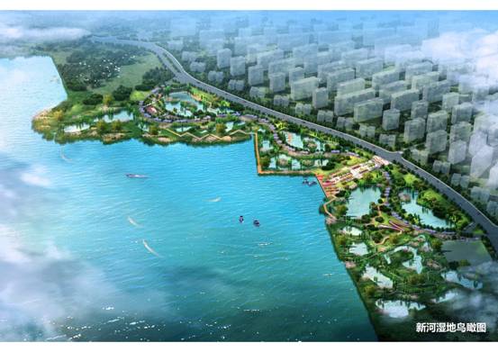 �º�ʪ���޸����蹤��Ч��ͼ