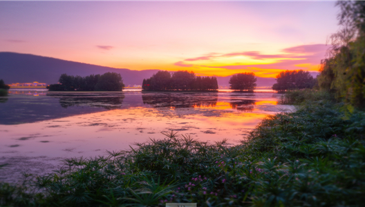 ��ԭ���� | ������Ȧ��������������