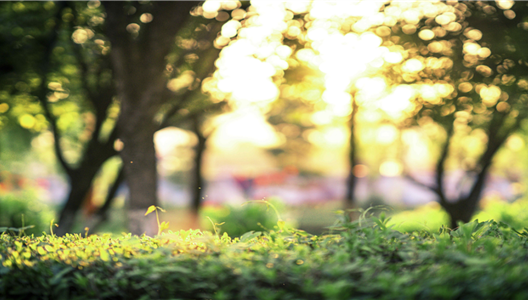 888�ڲ������ | ���������ҵ�����