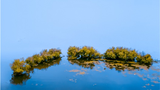 ��ԭ����̨�� | ����ڴ��������뺣Ÿ�ľ���ֻ�С���