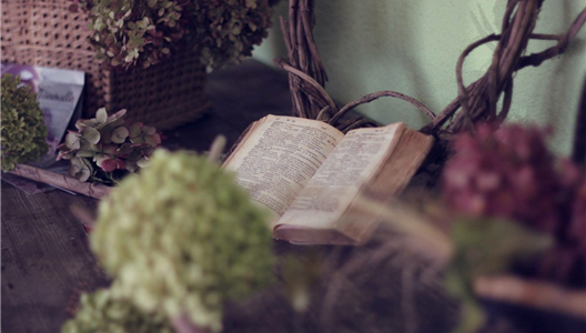 ��ԭ���� | ׷�������������������������ҵ�ϸ������