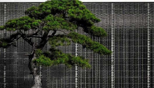 ��ԭ����̨�� | ԰��Ǳ������������������ϸ�����