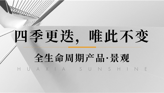 888�ڲ������ | ���������Ψ���ȹ�