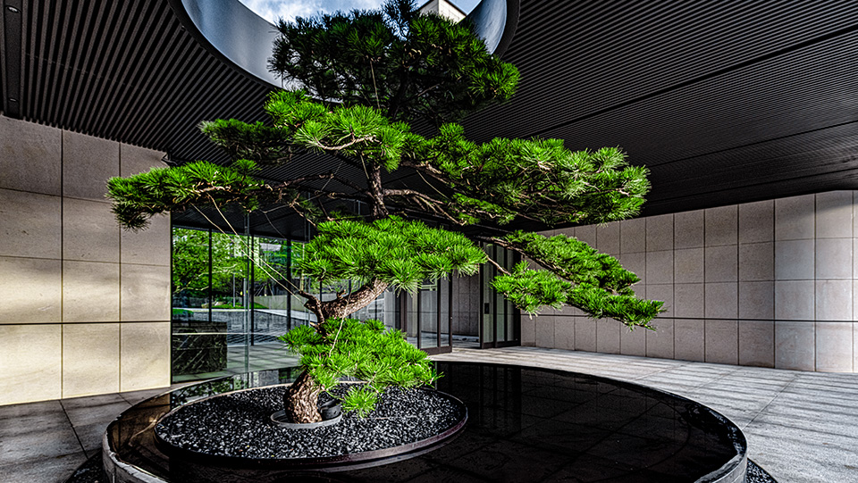 ��ԭ����4