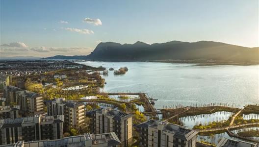 ס������֮������Ϊʲô����ѡ��԰��˫��������Ӣ������ҵ��