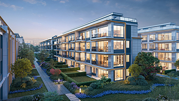 888�ڲ������-����Ϊ��,רҵ����