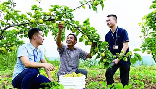 �Ե������Ҹ�������������