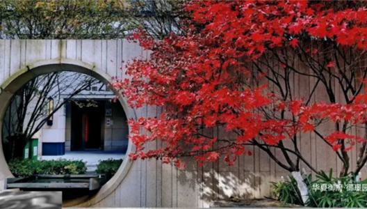 ��ԭ��ҵ | ר������԰��֮������������������Ƭ