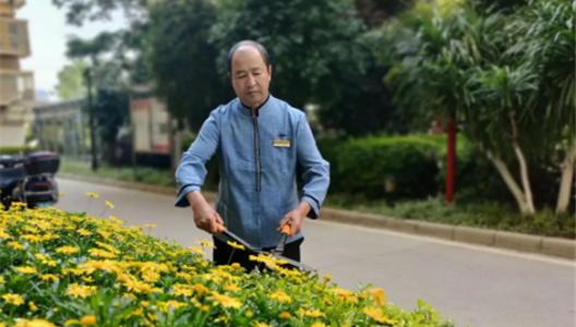 �����ж� | �淶��������а������רҵ������ר����������ů����Ʒ������֮·������Զ