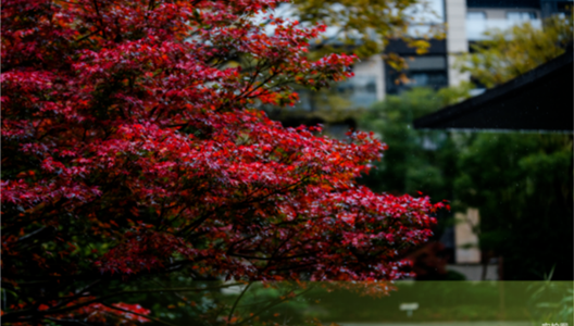 888�ڲ������ | 30000+�ò�Ʒ����ĳ�ŵ ��ϸ������ġ�ֲ�����ڴ�