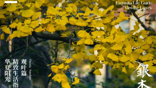 888�ڲ������ϸ������ָ�� | ��Ҷƪ NO004