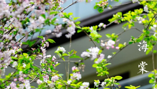 888�ڲ������ϸ������ָ�� | �ۻ�ƪ NO002