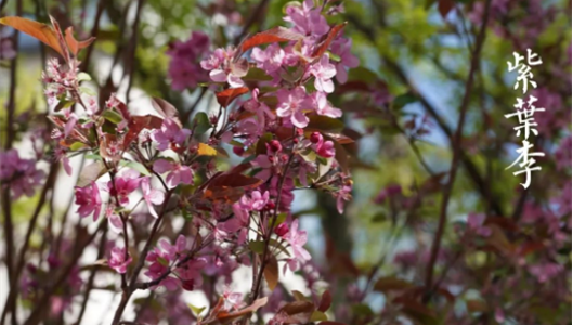 888�ڲ������ϸ������ָ�� | �ۻ�ƪ NO003