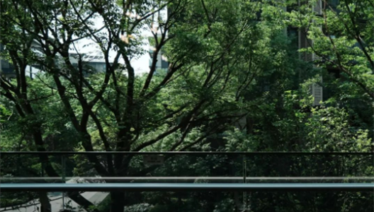 888�ڲ������ϸ������ָ�� | ������Ĵ���