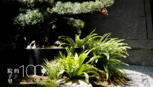 888�ڲ������حԺ�����100�����ķ�ʽ N003