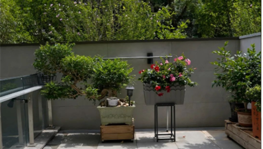 888�ڲ������حԺ�����100�����ķ�ʽ N006