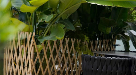 888�ڲ������حԺ�����100�����ķ�ʽ N007